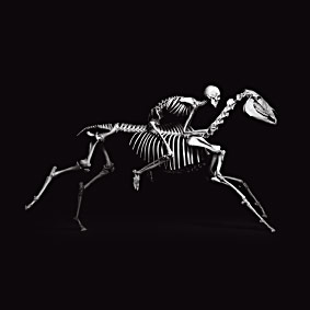 Squelette d'homme à cheval